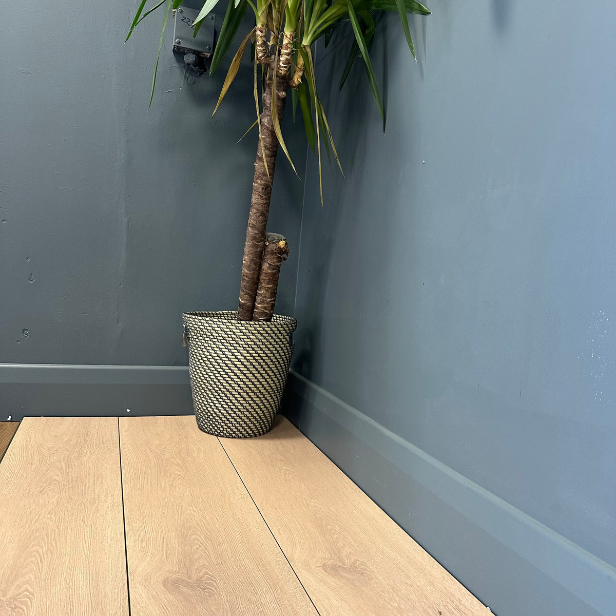 Baum Aqua Plus European Oak Long Plank 12mm