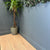 Baum Aqua Plus European Oak Long Plank 12mm