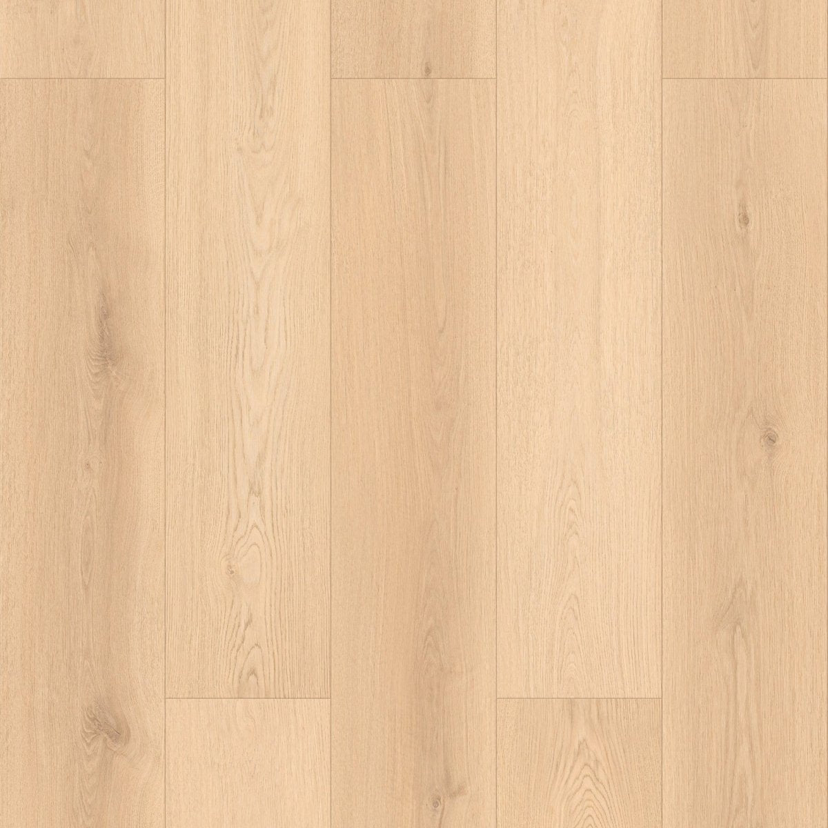 Baum Aqua Plus European Oak Long Plank 12mm (Laminate Flooring) - Wood Floor Store