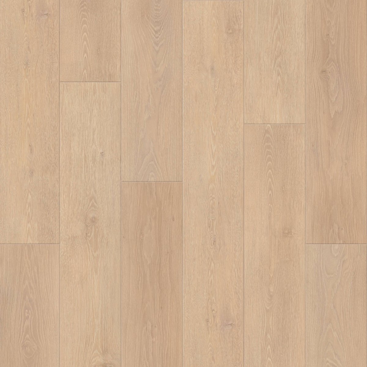Baum Aqua Plus Washed Oak Long Plank 12mm (Laminate Flooring) - Wood Floor Store