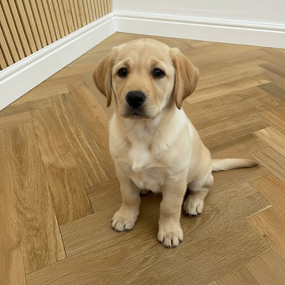 Fika Mayfair Oak Herringbone (Engineered Flooring) - Wood Floor Store