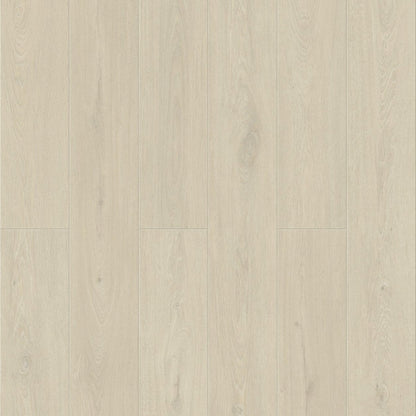 Konig Essence Alaska Oak 8mm (Laminate Flooring) - Wood Floor Store