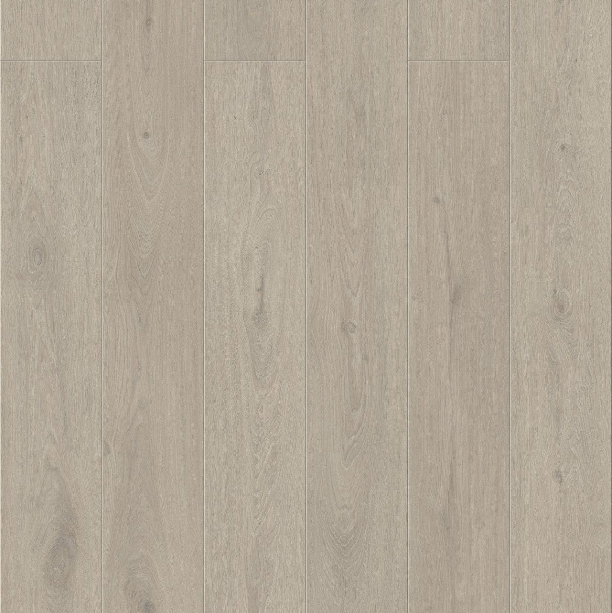 Konig Essence Hampton Grey Oak 8mm (Laminate Flooring) - Wood Floor Store