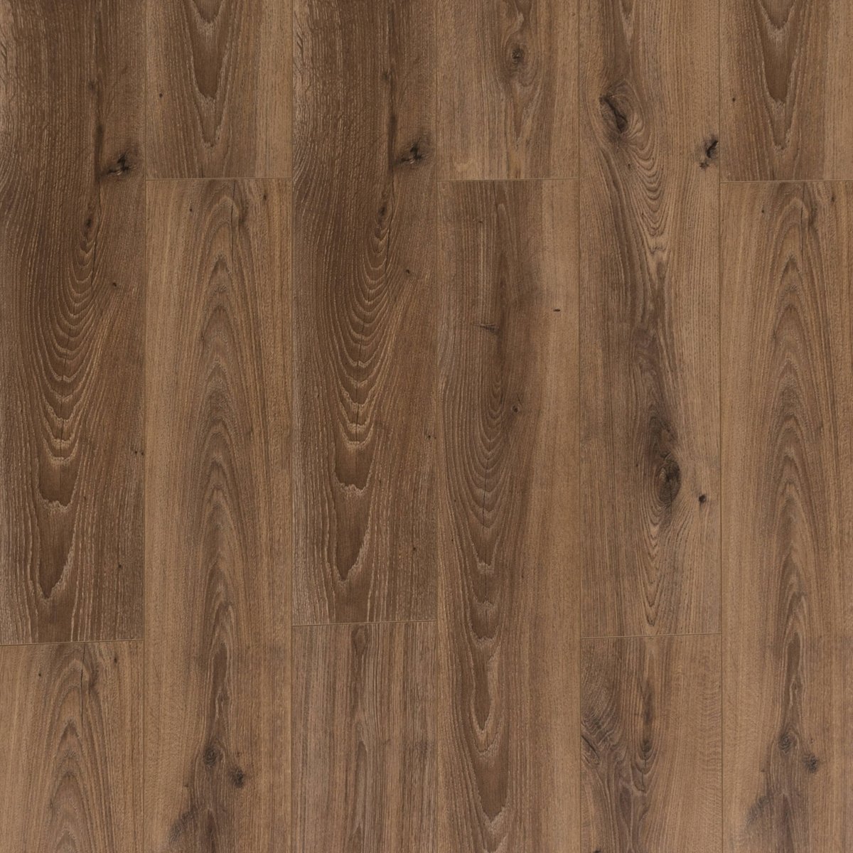 Konig Essence Mocha Oak 8mm (Laminate Flooring) - Wood Floor Store