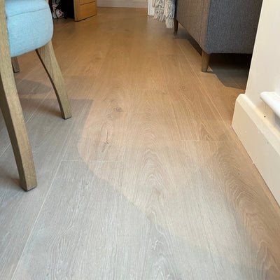 Konig Essence Pro Beach House Oak 12mm - Wood Floor Store