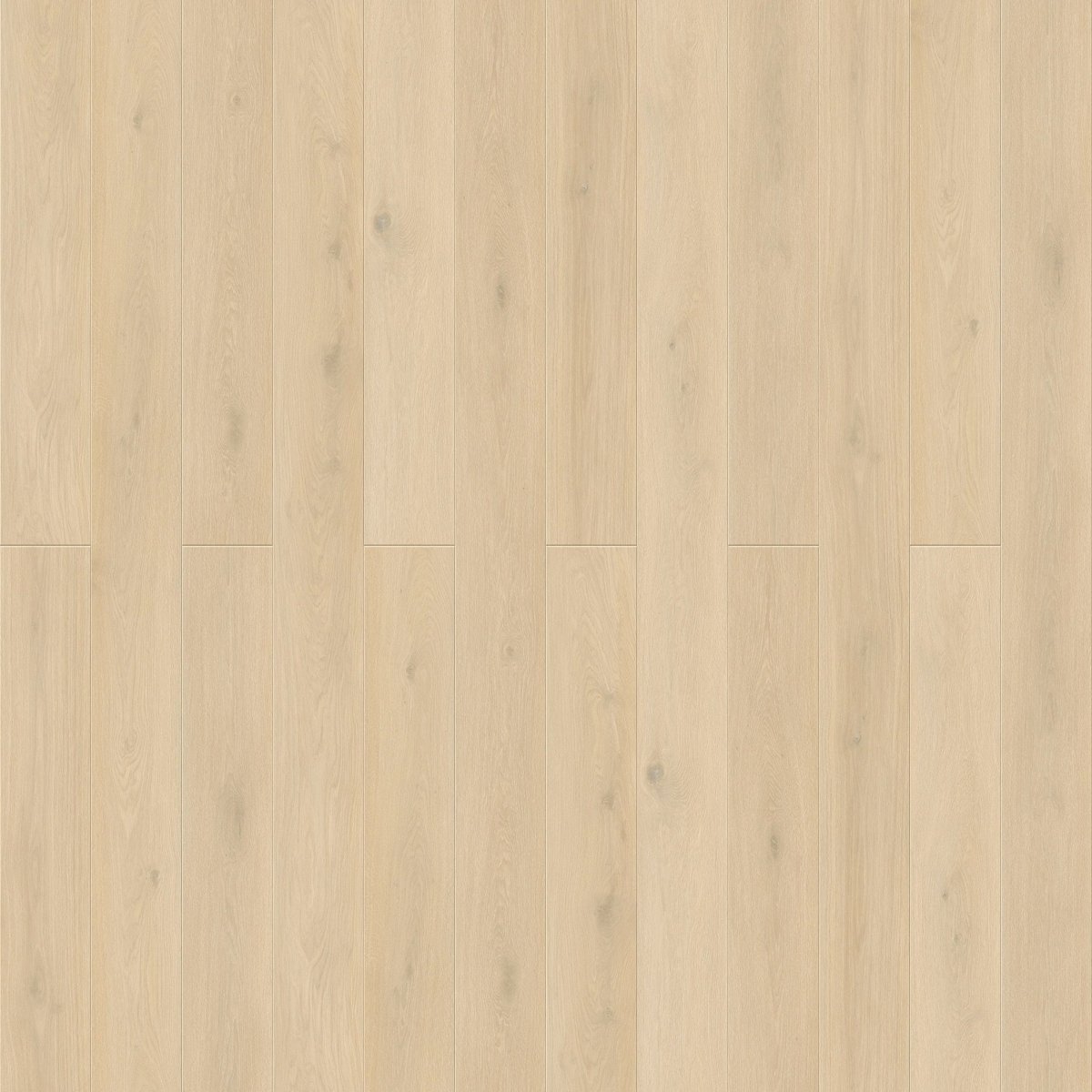 Konig Essence Pro Glazed Oak 12mm (Laminate Flooring) - Wood Floor Store