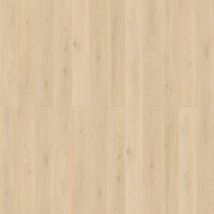 Konig Essence Pro Glazed Oak 12mm (Laminate Flooring) - Wood Floor Store