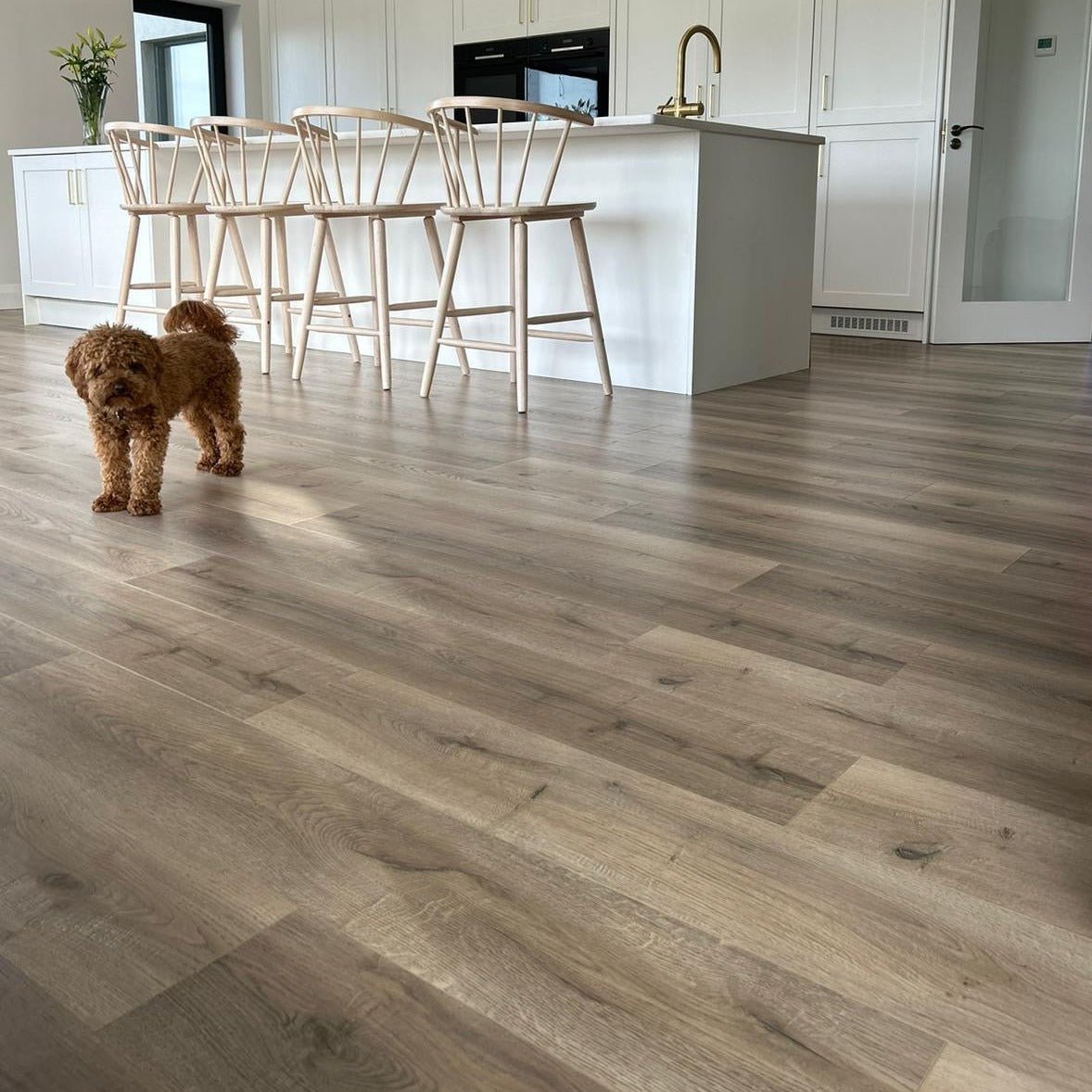 Konig Essence Rustic Oak 8mm - Wood Floor Store